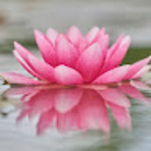 Meet your Posher, Meredith